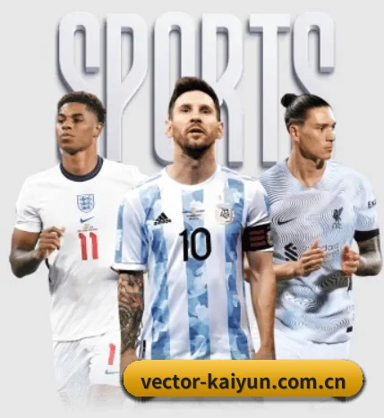 五大服务分区,信息按项目分类 | kaiyun
