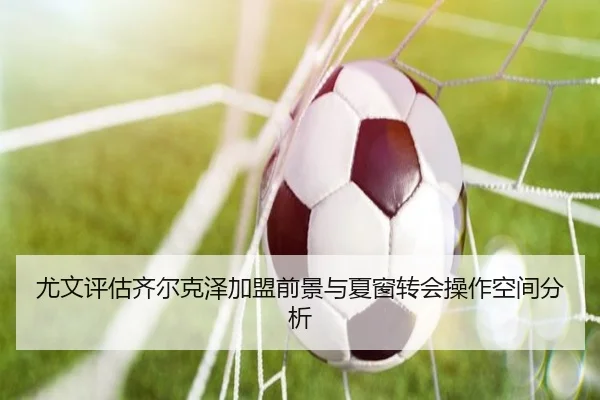 尤文评估齐尔克泽加盟前景与夏窗转会操作空间分析