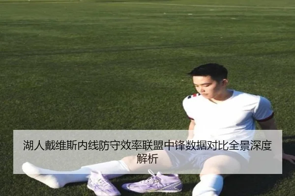 湖人戴维斯内线防守效率联盟中锋数据对比全景深度解析
